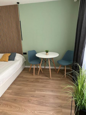 Piata Unirii Apartment 1